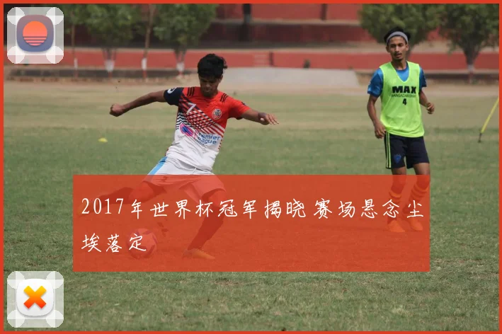 2017年世界杯冠军揭晓 赛场悬念尘埃落定
