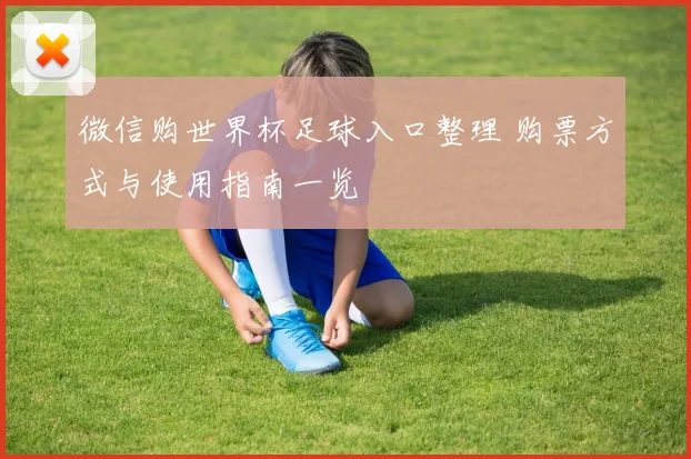 微信购世界杯足球入口整理 购票方式与使用指南一览